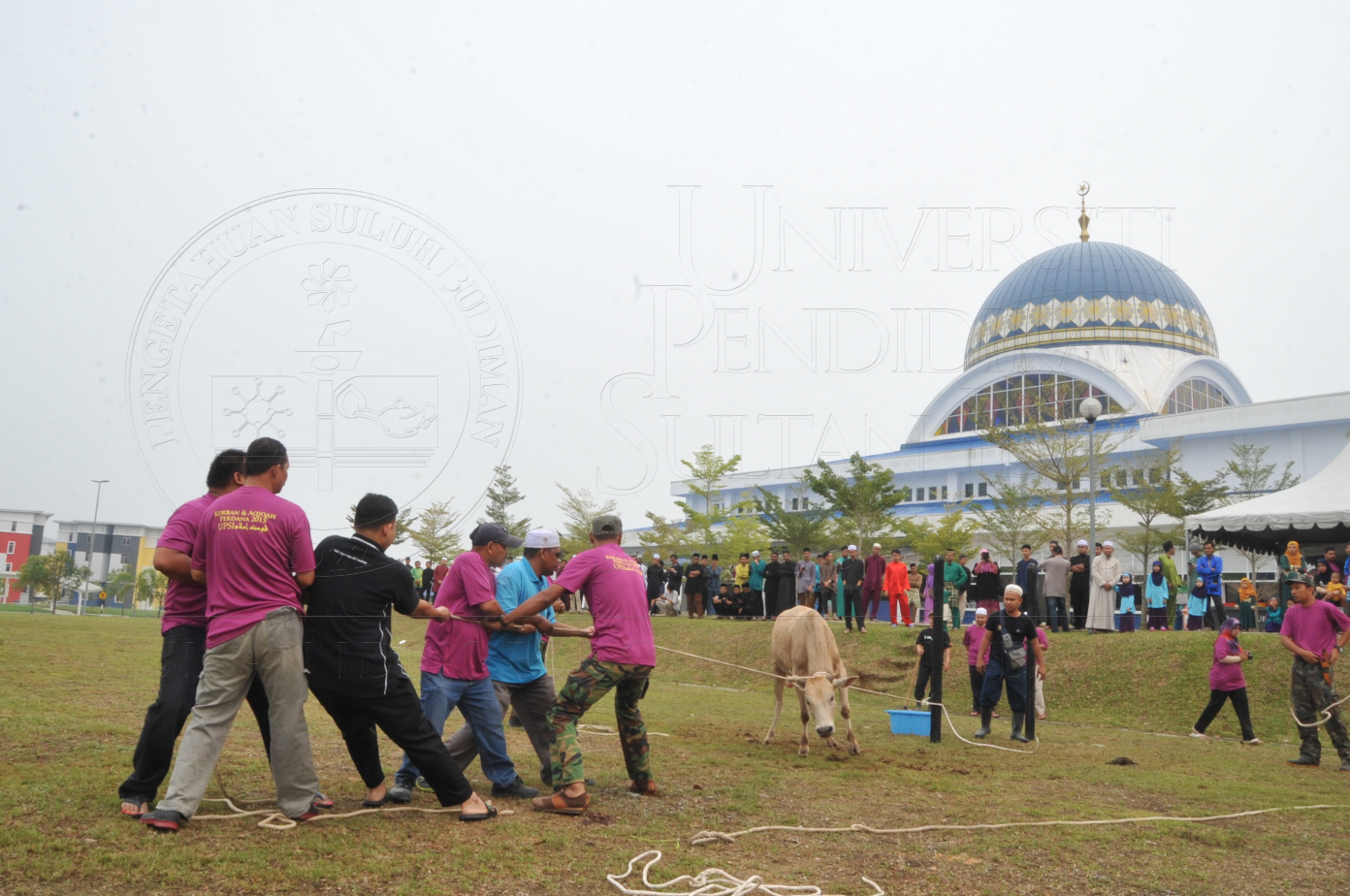 PRO15 150 KORBAN HAS 6671